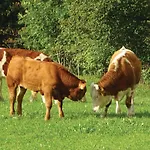 2 Bedroom Stunning In Nyaraló Luče