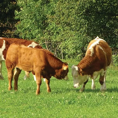 2 Bedroom Stunning In Сasa de vacaciones Luče