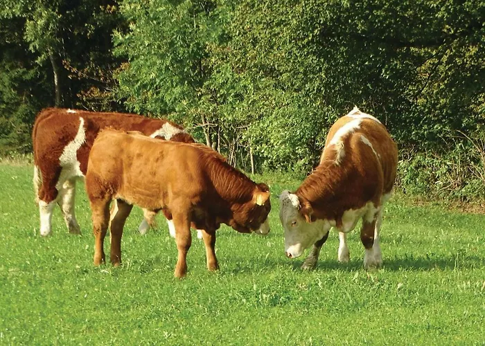 2 Bedroom Stunning In Casa vacanze Luče